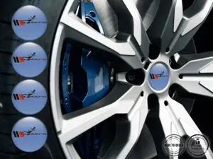 Decalcomanie Cerchio Drift Edizione Cupola Auto Limited